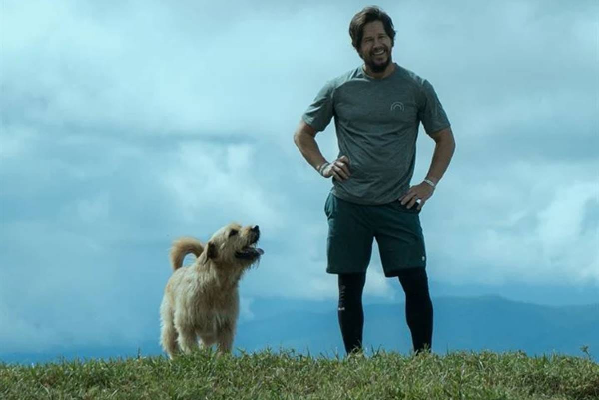 uma prova de coragem