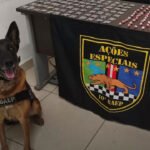 BAEP prende por tráfico em Sumaré com cão policial