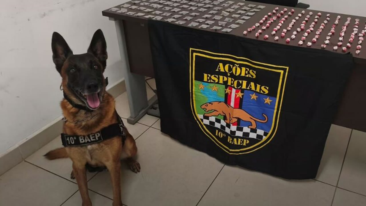 BAEP prende por tráfico em Sumaré com cão policial