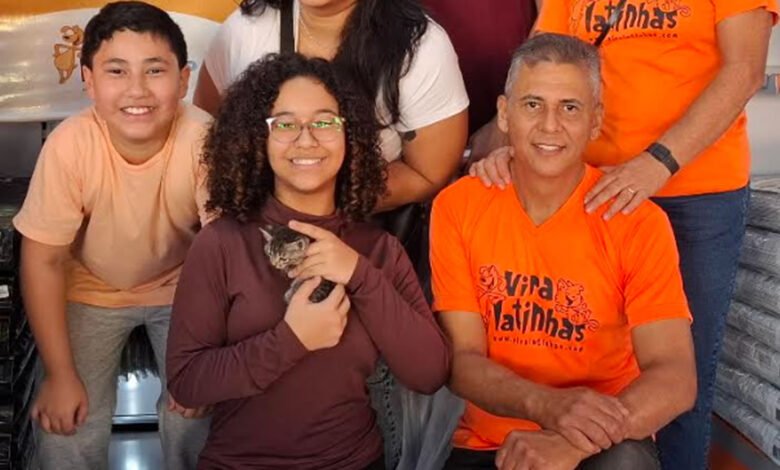 Viralatinhas